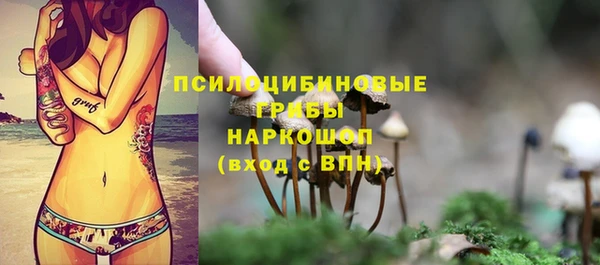 мяу мяу мука Абаза