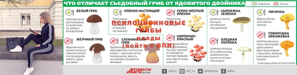 apvp Абинск