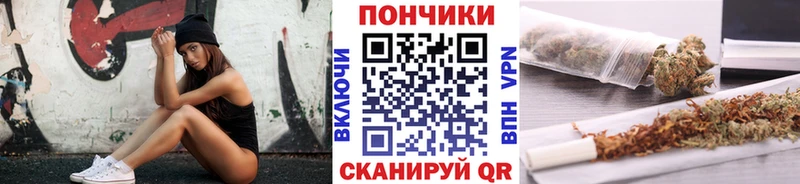Бошки марихуана сатива  Барнаул 